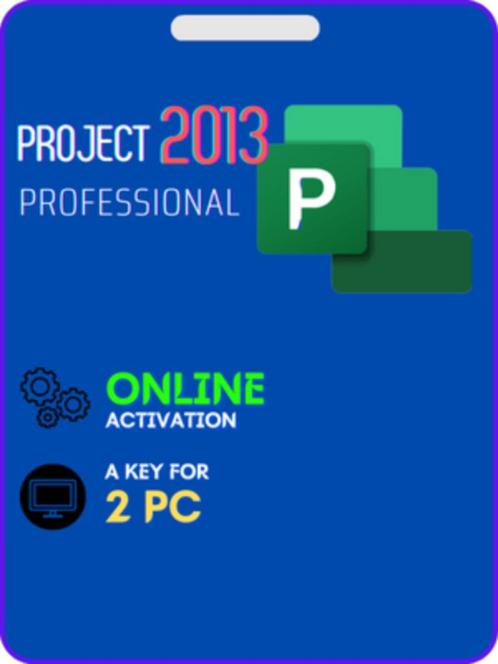 Microsoft Project 2013 Pro (2PC)