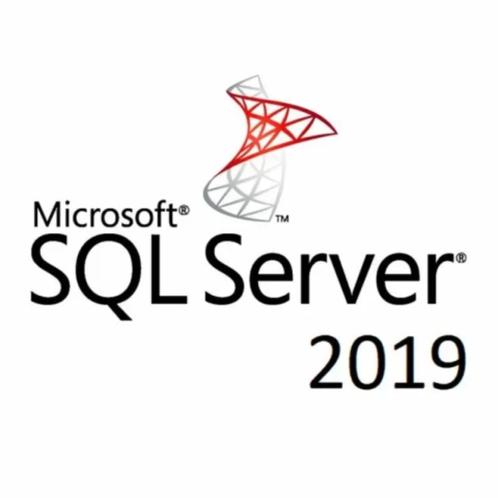 Microsoft SQL Server 2019 standard