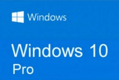 Microsoft Windows 10 Professional OEM 32 en 64 bits