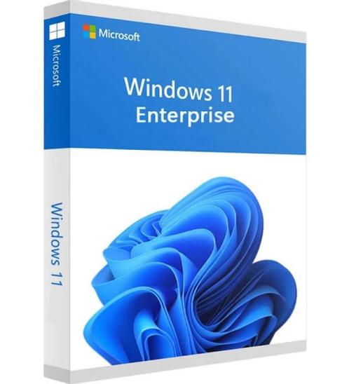 Microsoft Windows 11 Enterprise  Microsoft Office 2021