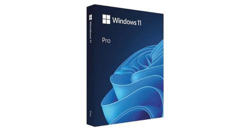 Microsoft Windows 11 Pro