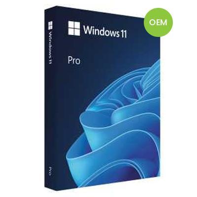 Microsoft Windows 11 Pro (OEM) Directe Download