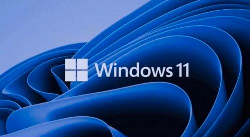 Microsoft Windows 11 pro x64 digtale licentie