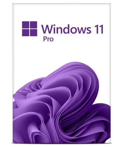 Microsoft Windows 11 Professional en Home 64 bits download