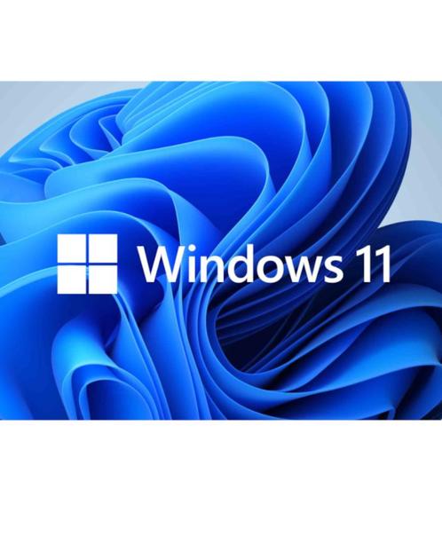 Microsoft Windows 11 upgrade  op SSD