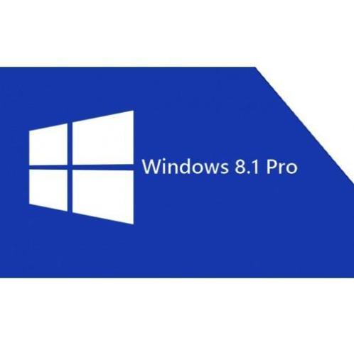 Microsoft windows 8.1 professional