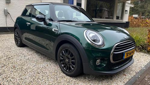 Mini Cooper 3-deurs (f56) 136pk British racing green 2018