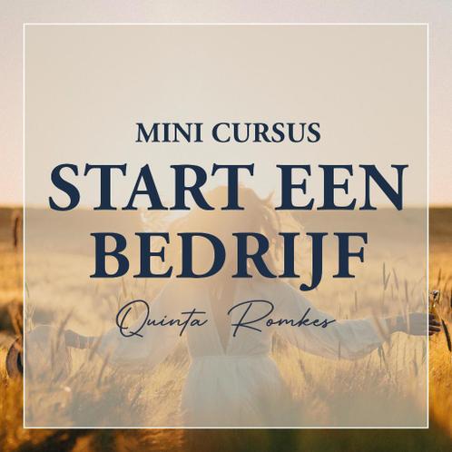 Mini Cursus x27Starten Met Ondernemenx27 Voor  38,11