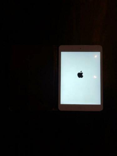 Mini iPad 2 wit