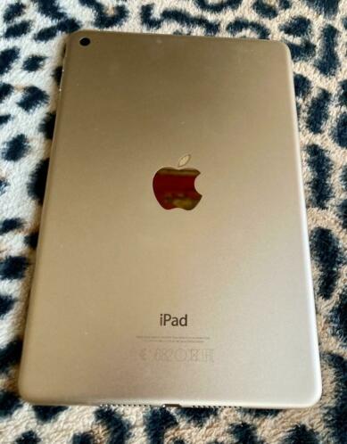Mini iPad