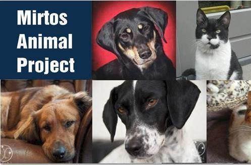 Mirtos Animal Project zoekt gastgezinnen voor hond en kat