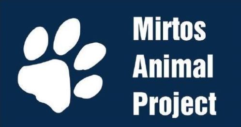 Mirtos Animal Project zoekt met spoed gastgezinnen