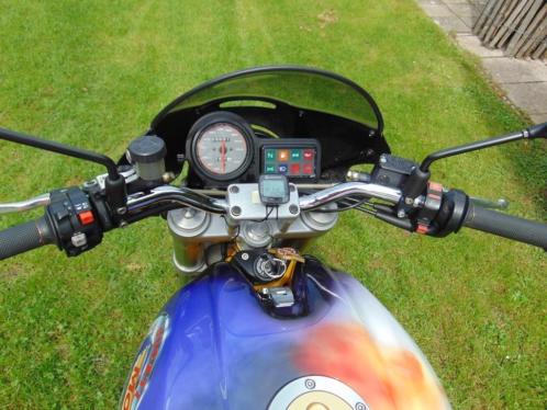 Monster 600 Dark (Special)