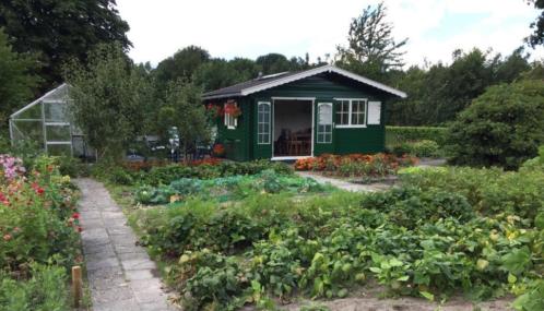 Mooi tuinhuisje op volkstuin in Assen