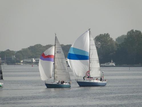 Mooie Dolphin 26