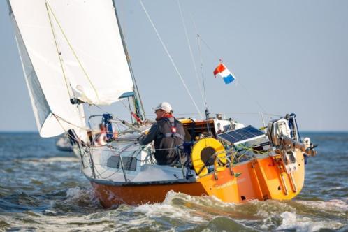 Mooie en unieke Kolibri 660