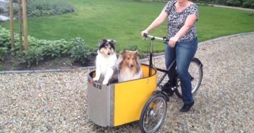 Mooie gele bakfiets van Nihola, zeer geschikt voor honden