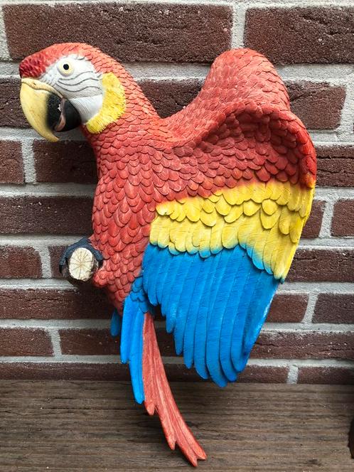 Mooie kunststof papagaai 45 cm
