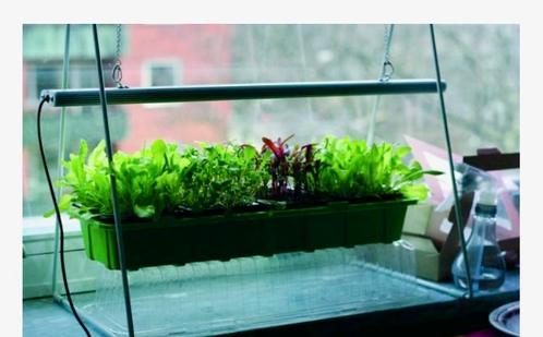 Mooie Parus Plant light - om binnen te kweken