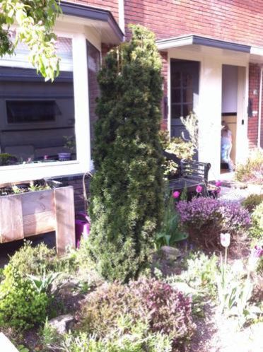 Mooie planten