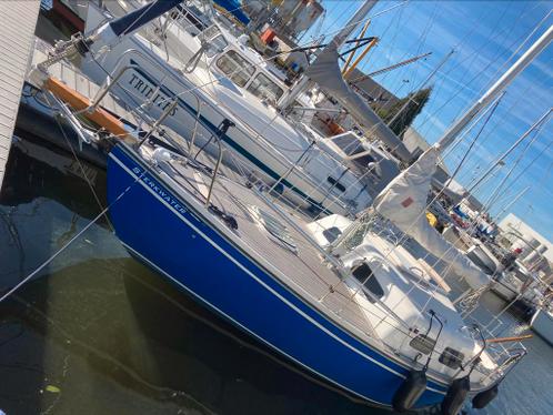 Mooie puntgave weekend-sailer