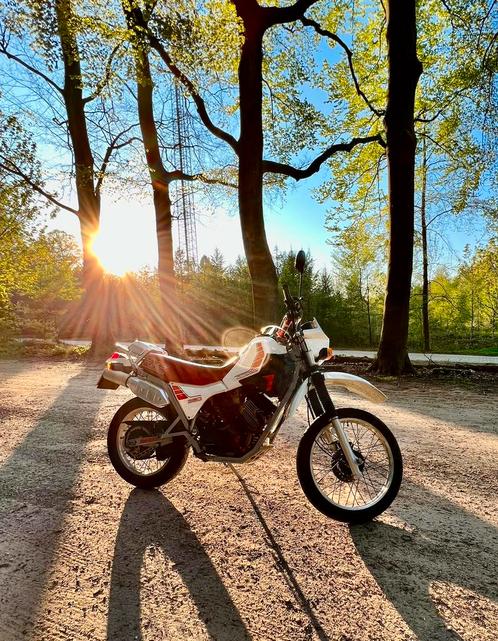 Moto Morini 350 Kanguro met slechts 6.100 km