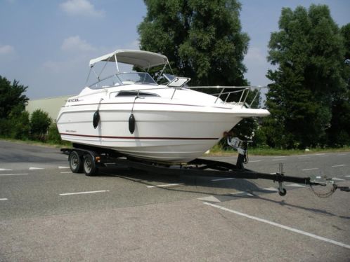 MotorbootSpeedcruiser (Wellcraft 23SE) 