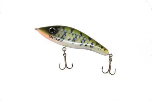 Nazomer ACTIE Rozemeijer Jerkbaits 3,99