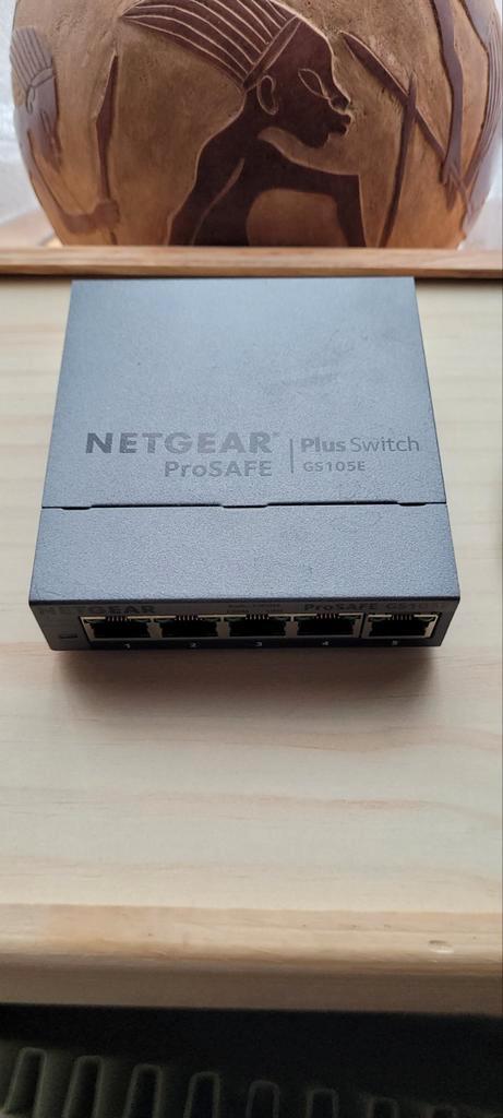 NetGear ProSafe Plus Switch, netwerk switch. Internet split.