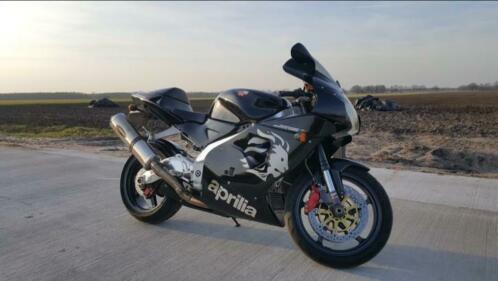 Nette Aprilia RSV 1000