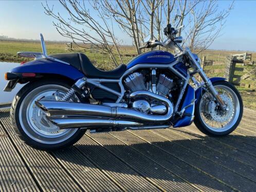 Nette Harley Davidson V-Rod VRSCAW 2009 1250cc 7000 km amp ABS