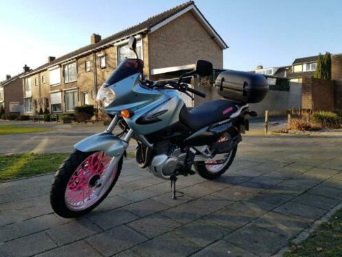 Nette Suzuki Xf650 Freewind bj 2002