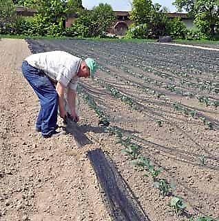 Netten voor bescherming van planten tegen kleinwild