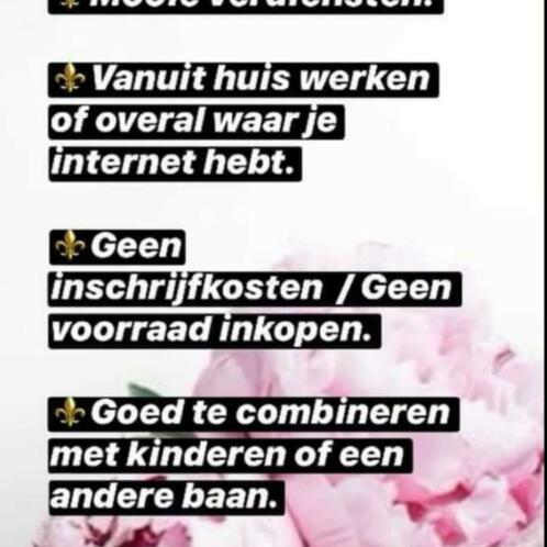 Netwerkmarketing