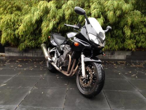 Niets voor mij wie maak ik blij  Suzuki GSF 1200 Bandit 02