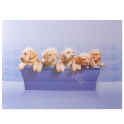 NIEUW 3D Schilderij Labrador Puppies