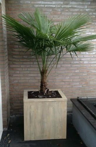 Nieuwe steigerhouten plantenbak