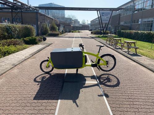 big cargo bike