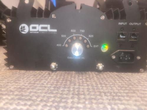 OCL Kweeklamp 800 watt