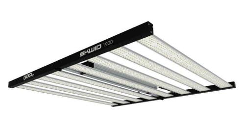 OCL LED Skwid 1900