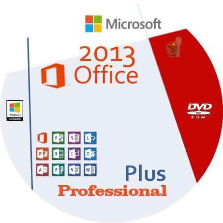 Office 2013 Professional Plus DVD 
