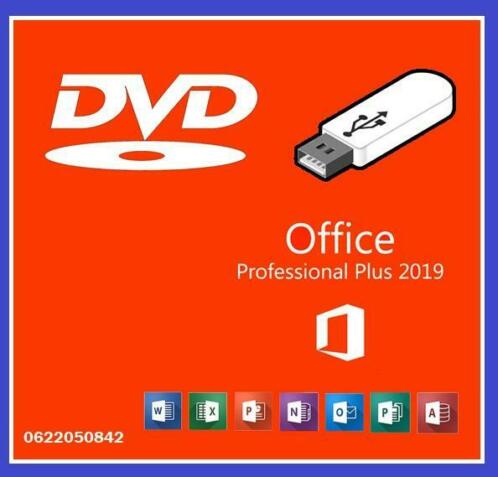 Office 2019 Professional Plus  USB  DVD  CD 