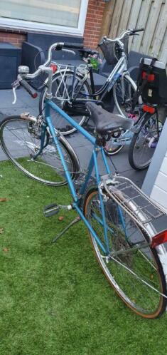 Old fietsnin het blauw