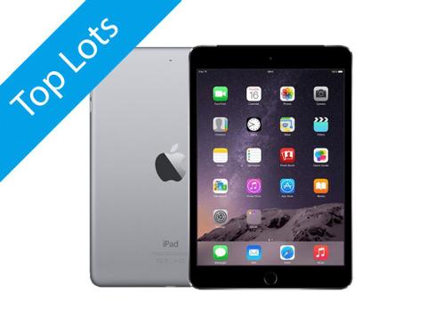 Online veiling Apple iPad mini 3 - 64GB - 4G - Space Grey