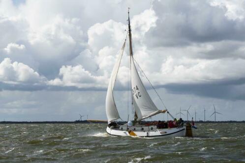 Online veiling De Boer Lemsteraak 9.10 Meter 9.10 meter