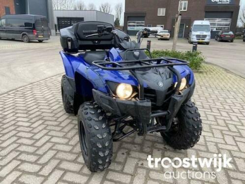 Online Veiling Quad Yamaha Grizzly 300