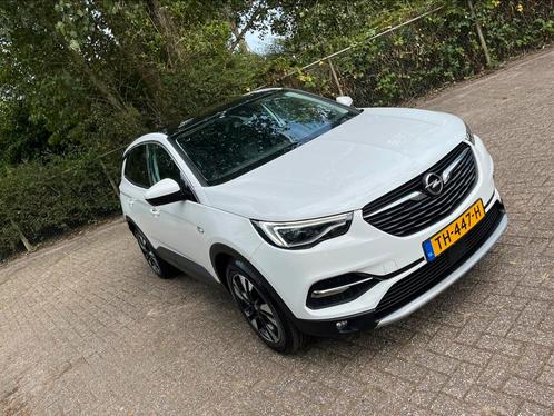 Opel Grandland X 1.2 Turbo 130pk SampS Aut 2018 Wit