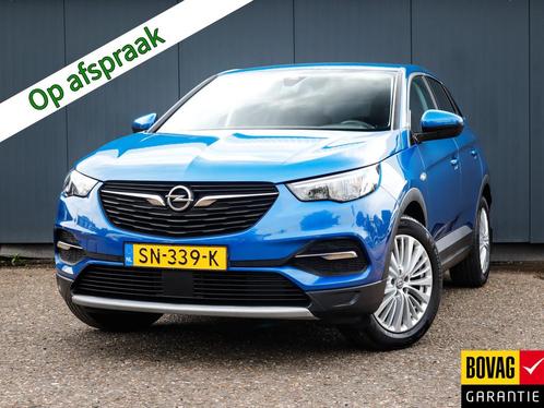 Opel Grandland X 1.2 Turbo Business Executive (131 PK) 1e-Ei
