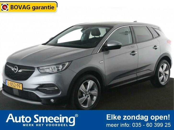 Opel Grandland X 1.2 Turbo Innovation  Panoramadak  Blind