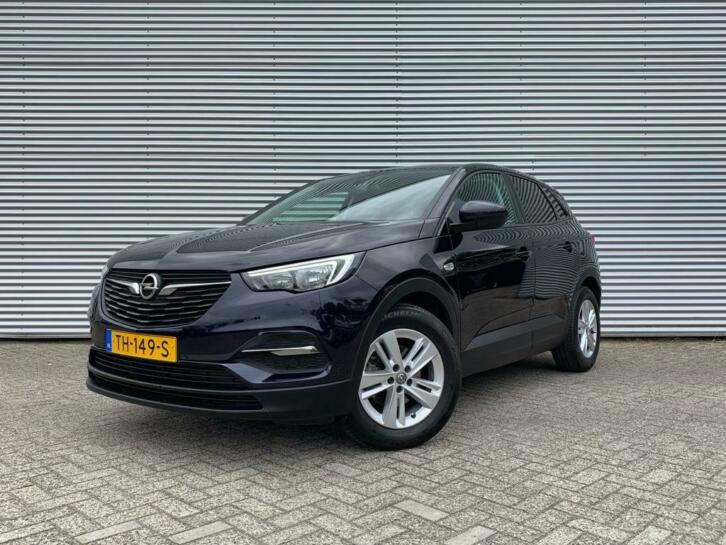 Opel Grandland X 1.2 Turbo Online Edition Navigatie Parkeers